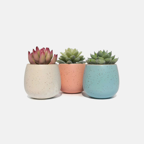 Nulla venenatis tristique urna vel ultrices nulla